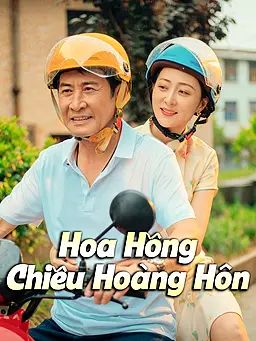 Hoa Hồng Chiều Hoàng Hôn