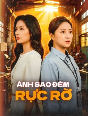 Ánh Sao Đêm Rực Rỡ